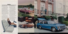 1979 Buick Full Line-18-19.jpg